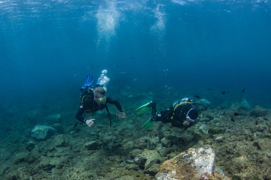 Lanzarote: 2-dive package in Playa Blanca - certified divers - The guide support and language choice