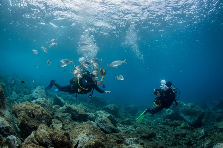 Lanzarote: Beginner Scuba Diving from the Beach - Is $118 a good value?