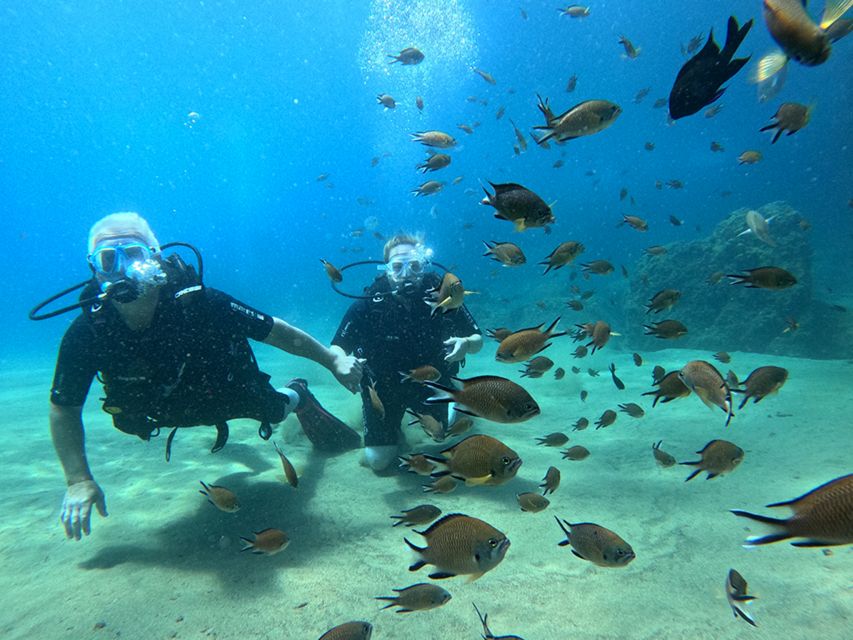 Lanzarote: Intro to Diving Experience for Beginners - Who should book this experience