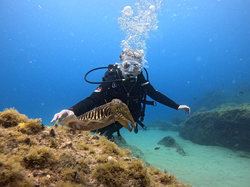 Lanzarote: Intro to Diving Experience for Beginners - The briefing: your first real test is breathing