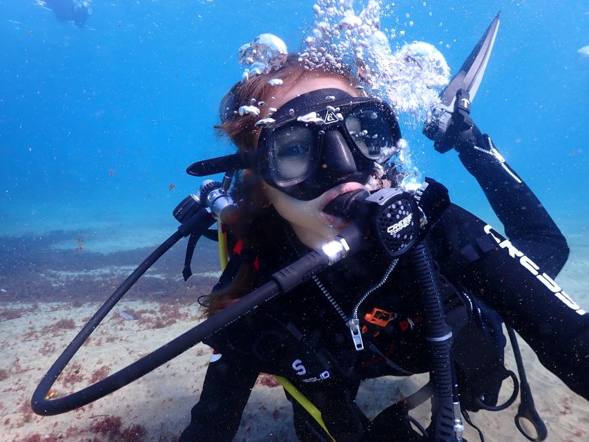 Lanzarote: Intro to Diving Experience for Beginners - What you may see beneath the coves