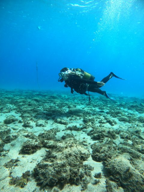 Lanzarote: Intro to Diving Experience for Beginners - How long you stay underwater