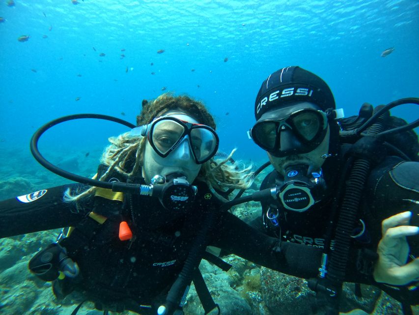 Lanzarote: Intro to Diving Experience for Beginners - Meeting the Pro Dive Lanzarote van