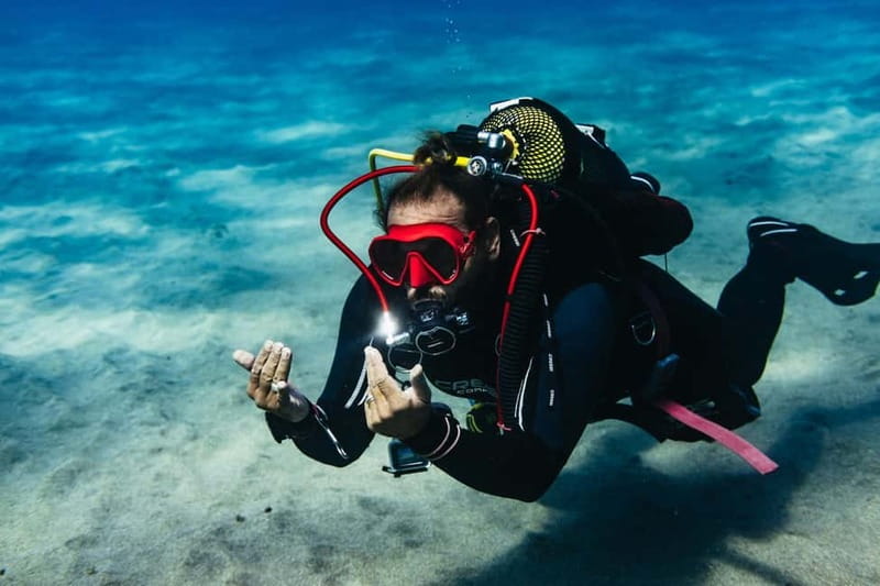 Lanzarote: Scuba Dive at Museo Atlántico for Beginners - Practicing skills before heading to the museum