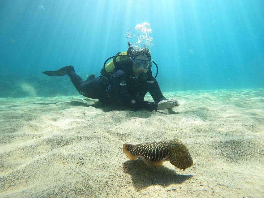 Lanzarote: Scuba Diving for Beginners - 1 Dive - Pickup from Puerto del Carmen, Arrecife, or Costa Teguise