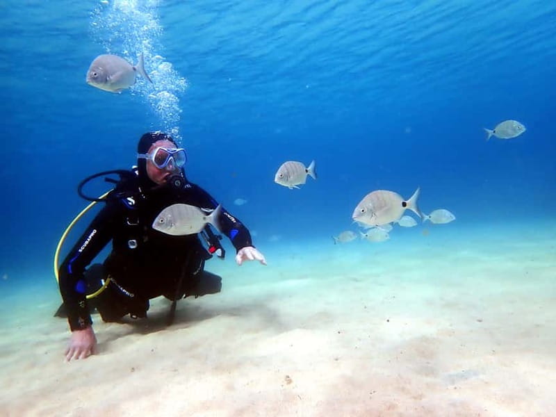 Lanzarote: Small-Group Discover Scuba Diving Costa Teguise - The 20-minute briefing that makes the difference