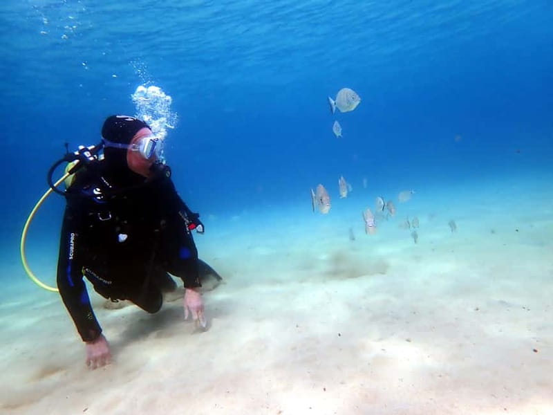 Lanzarote: Small-Group Discover Scuba Diving Costa Teguise - Why the small group matters