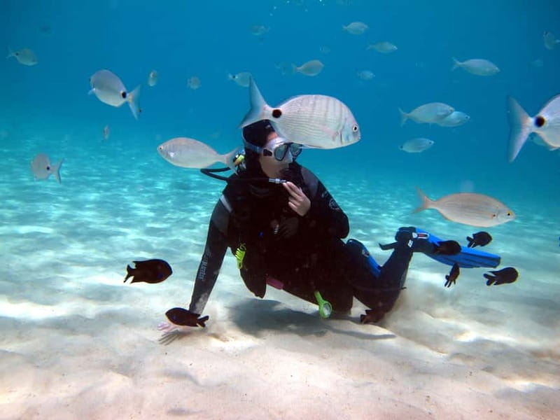 Lanzarote: Small-Group Discover Scuba Diving Costa Teguise - What $94 includes, and what it does not
