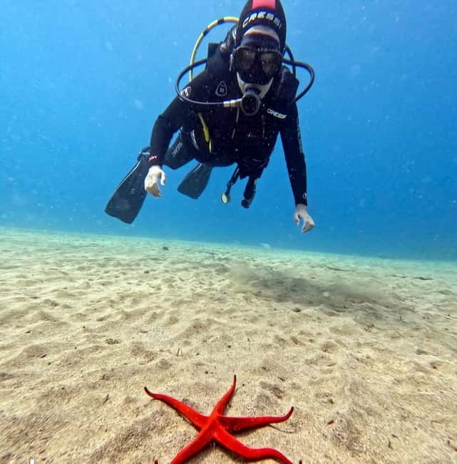 Lanzarote Your First Scuba Diving Experience - Who will enjoy this most