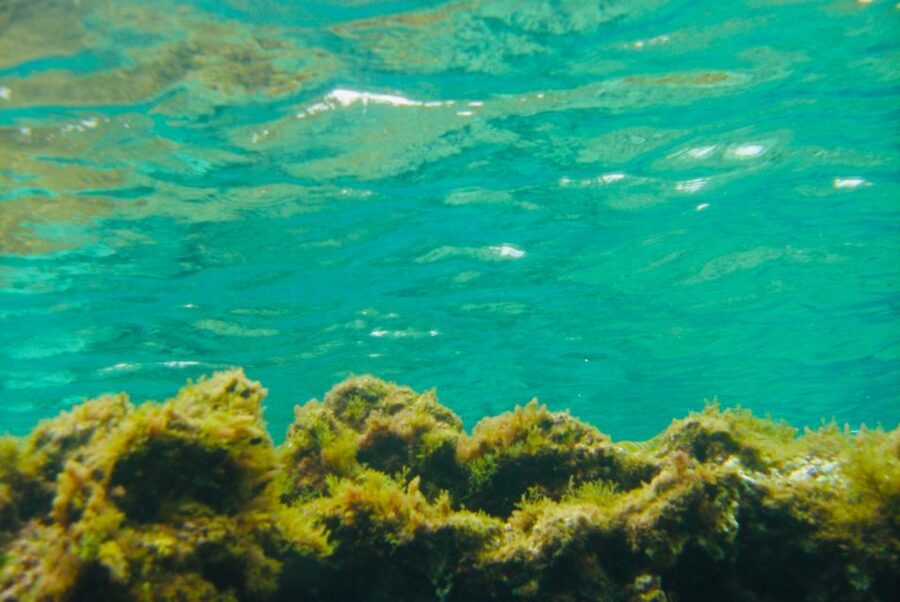 Las Canteras Scuba Diving - Why Las Canteras works well for beginners