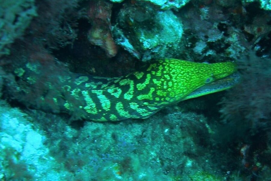 Las Canteras Scuba Diving - Getting equipped for the water