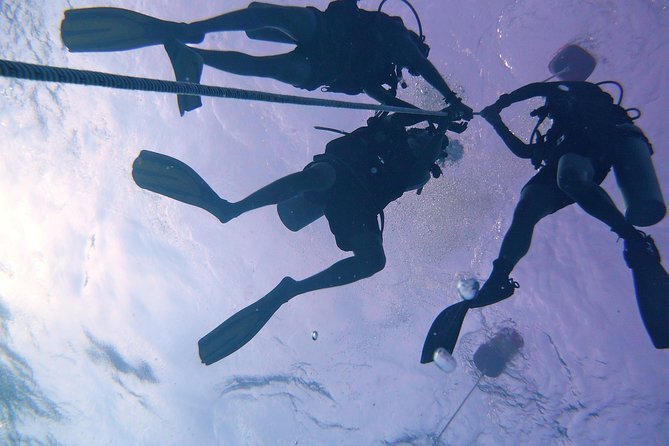 Learn to Dive | RAID Open Water 20 Diver Course | Kota Kinabalu - Preparing online before you arrive