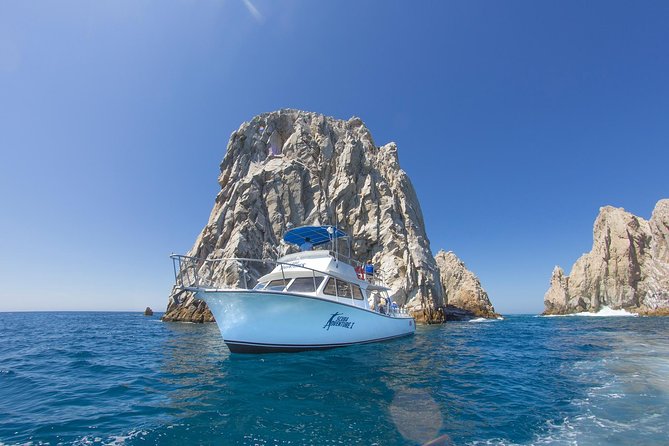 Learn to Scuba Dive in Cabo San Lucas with PADI - The price: $129 is only the starting figure