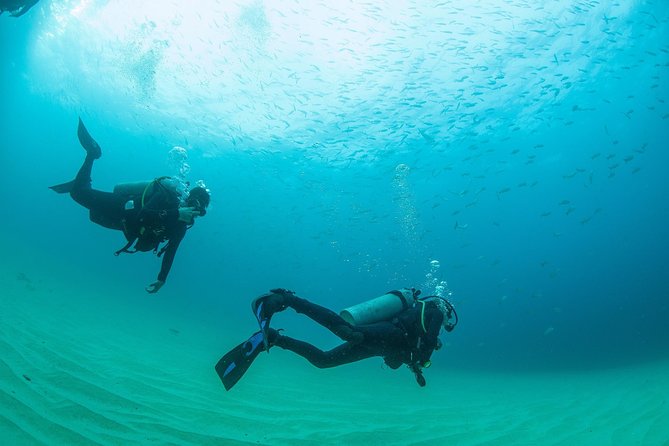 Learn to Scuba Dive in Cabo San Lucas with PADI - What to bring and how to prepare