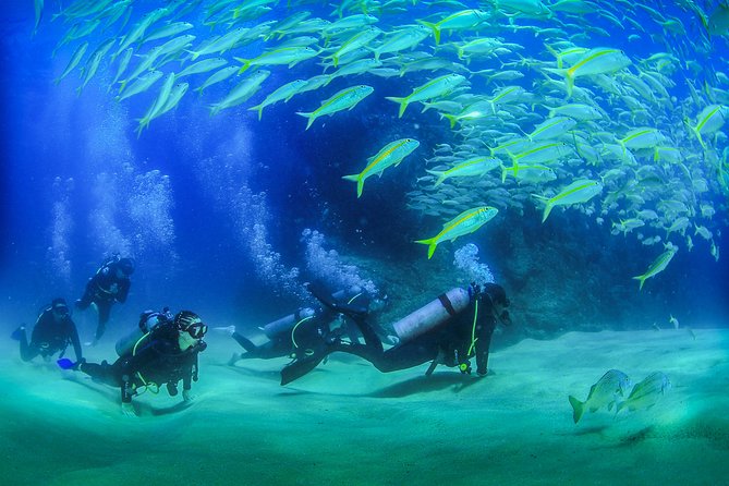 Learn to Scuba Dive in Cabo San Lucas with PADI - Pelican Rock: a practical first ocean stop