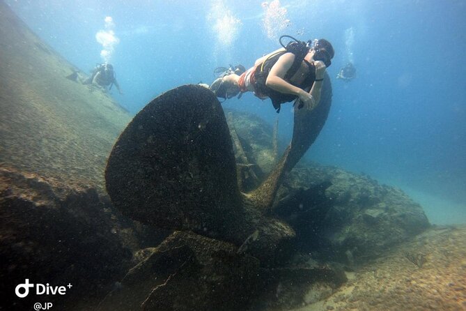 Learn to Scuba Dive in Punta Cana - Equipment, transport, and what the price covers