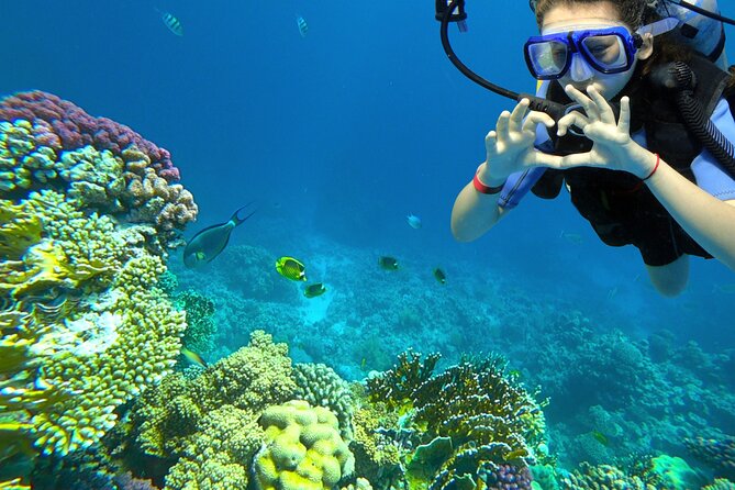 Learn to Scuba Dive with a Professional Instructor in Key Largo - All Inclusive - What Your $299 Buys in Key Largo