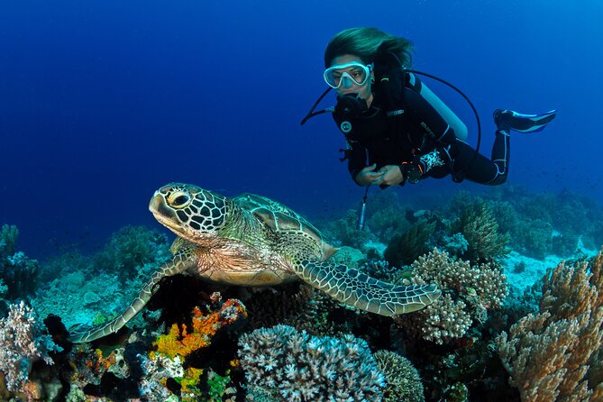 Learn to Scuba Dive with a Professional Instructor in Key Largo - All Inclusive - Practical Limits and Weather Concerns