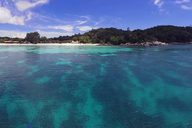 Learn to scuba dive with professional instructors - 3 days - Key points to know before booking