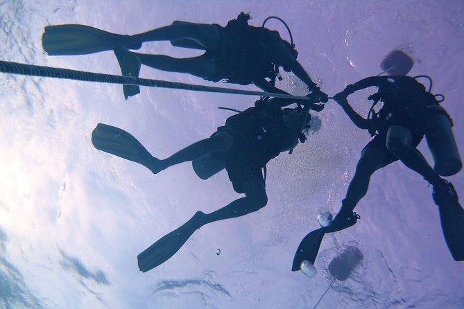 Leisure Diving | Fun Dives | 3 Dives in TARP, Kota Kinabalu - Weather, cancellations, and sensible planning