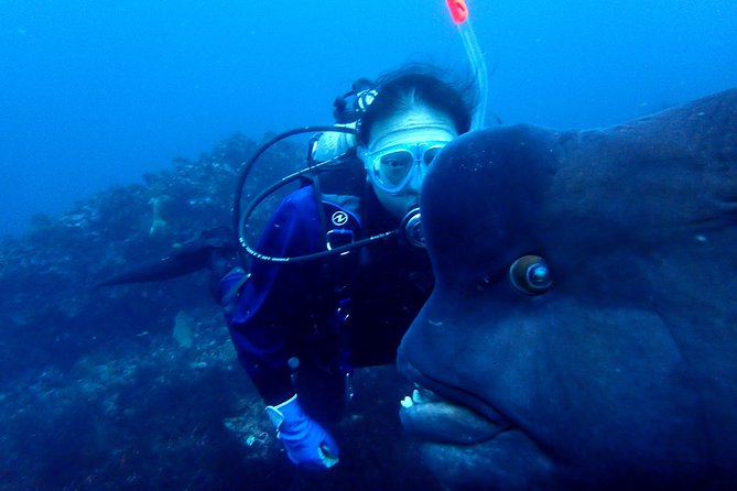 Let's enjoy Scuba diving in Izu Peninsula for certificate Diver - Sea conditions can change the plan