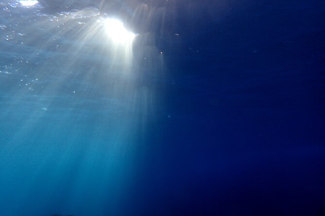 Let's enjoy Scuba diving in Izu Peninsula for certificate Diver - Is $457 a fair price?