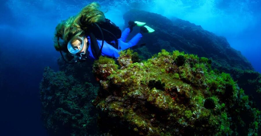 Lisbon: Become a Scuba Diver in 3-Days - What to bring and how to plan your days
