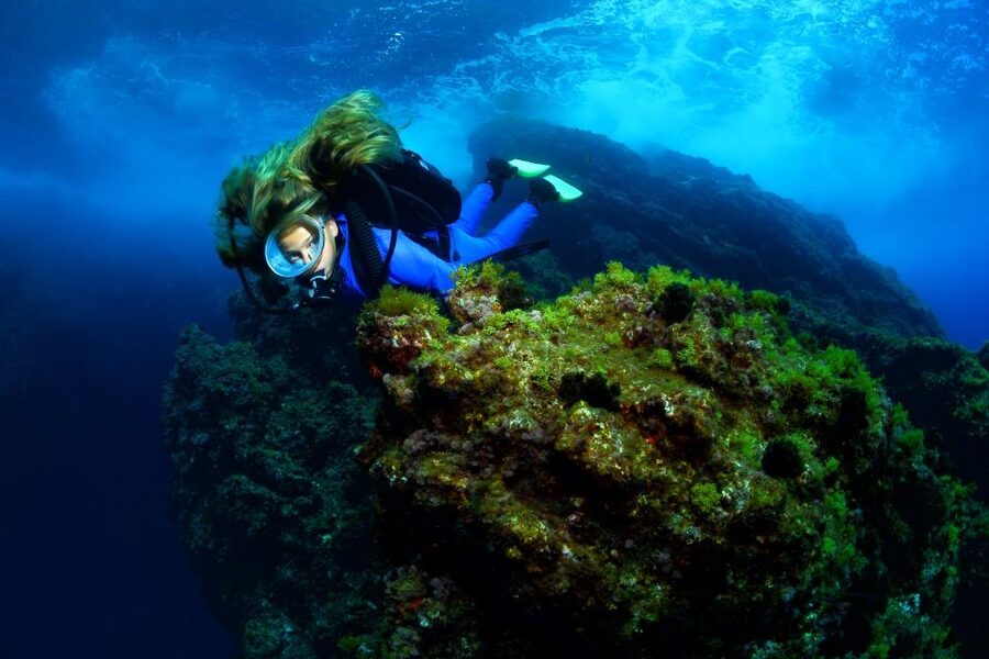 Lisbon: Become a Scuba Diver in 3-Days - What the three-day course actually involves