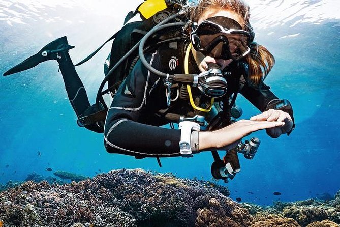 Lisbon Eco-Try Dive - Diving Baptism - Key points to know before booking
