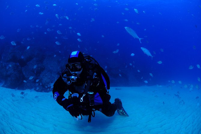 Lisbon Eco-Try Dive - Diving Baptism - What happens during the three-hour program