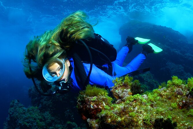 Lisbon Eco-Try Dive - Diving Baptism - Professor Luiz Saldanha Marine Park: what to expect