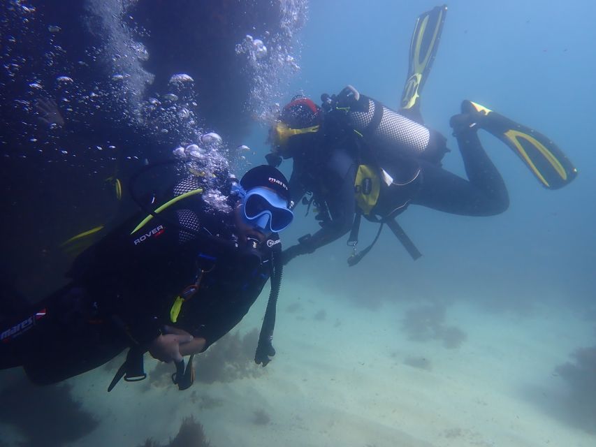 Lisbon: Try Dive in Arrábida Marine Reserve Setubal Sesimbra - Why Arrábida is a special place for a first scuba session