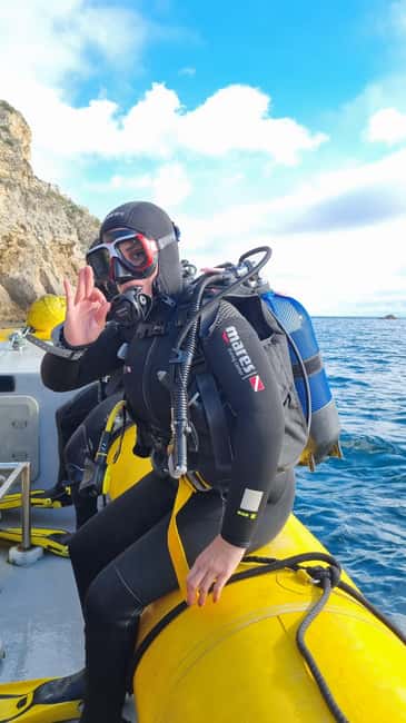 Lisbon: Try Scuba Diving in Arrábida Marine Reserve w/photos - What you may see beneath the surface
