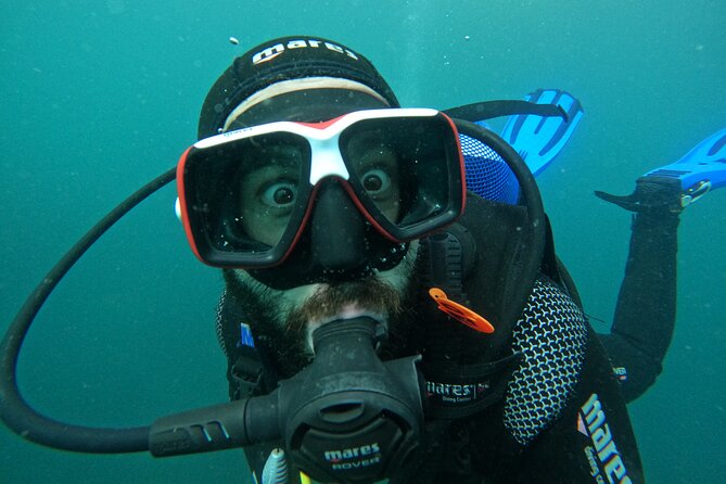 Lisbon: Try Scuba Diving in Arrabida Marine Reserve with photos - Underwater photos and the follow-up question