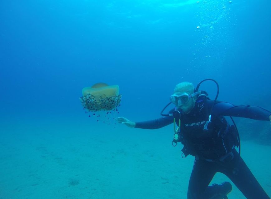 Lloret de Mar: Scuba Diving Experience no License Required - The Theory Lesson and Equipment Briefing