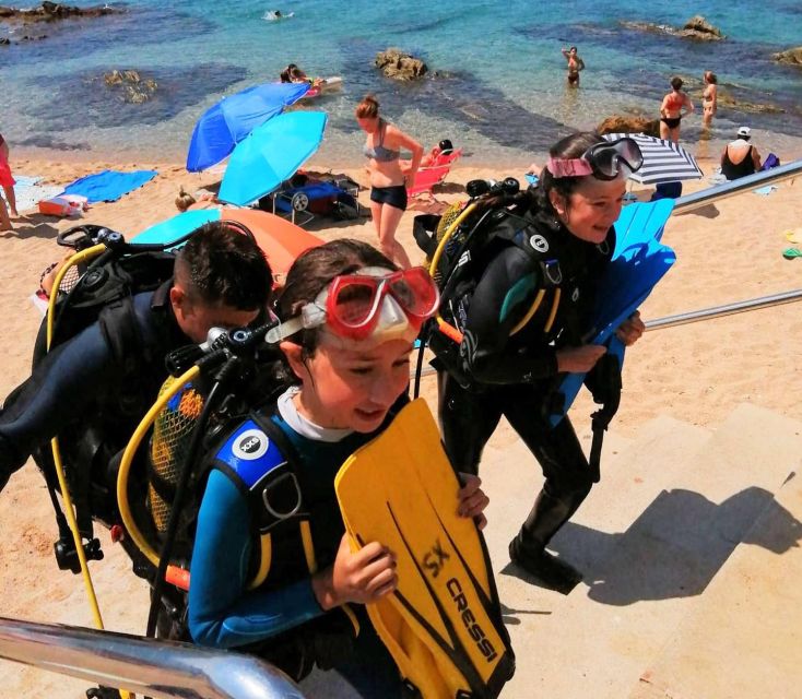 Lloret de Mar: Scuba Diving Experience no License Required - Meeting the Instructor at Dolphins Diving Center