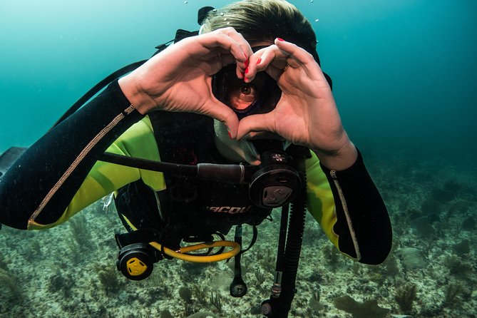 Local Dive in Playa del Carmen - What You Might See Around Playa del Carmen