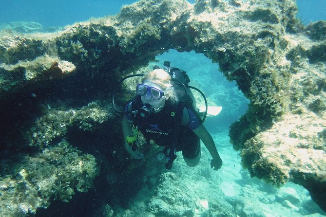 Local Guided Dives (for certified/licensed divers) - Key points at a glance