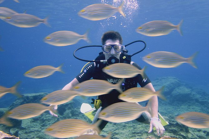 Local Guided Dives (for certified/licensed divers) - Starting at Poseidon Dive Centre in Protaras