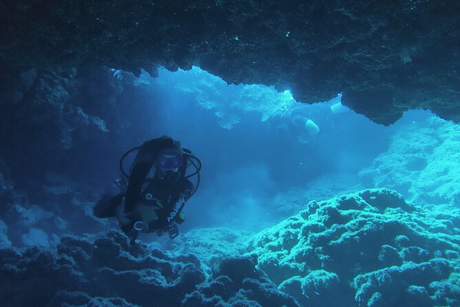Local Guided Dives (for certified/licensed divers) - Photos, logbooks, and coffee after the outing