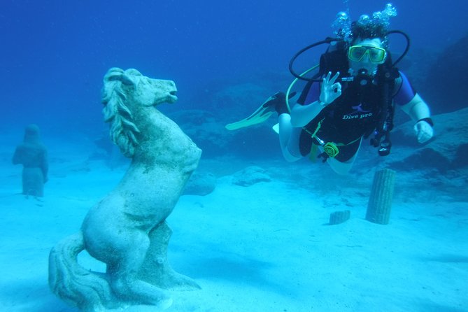Local Guided Dives (for certified/licensed divers) - Who will get the most from this outing?