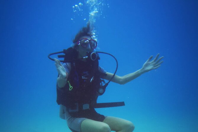 Local Guided Dives (for certified/licensed divers) - Should you book the Poseidon outing?
