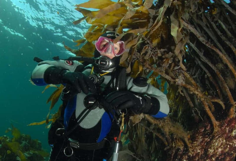 Lofoten: First Time Scuba Diving Experience - The speedboat ride to the Lofoten site