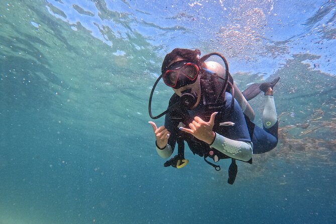 Los Cabos 1 tank dive to Land’s End (Certified Divers) - Key points to know before you book