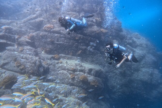 Los Cabos 1 tank dive to Land’s End (Certified Divers) - Why Land’s End makes this a worthwhile short outing