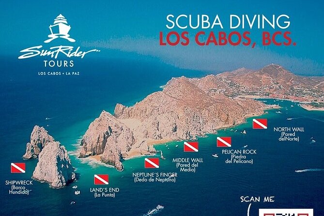 Los Cabos 1 tank dive to Land’s End (Certified Divers) - What the marine setting can and cannot promise