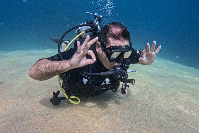 Los Cabos 2 tanks dive to The Corridor (Certified divers) - Key points to know before booking