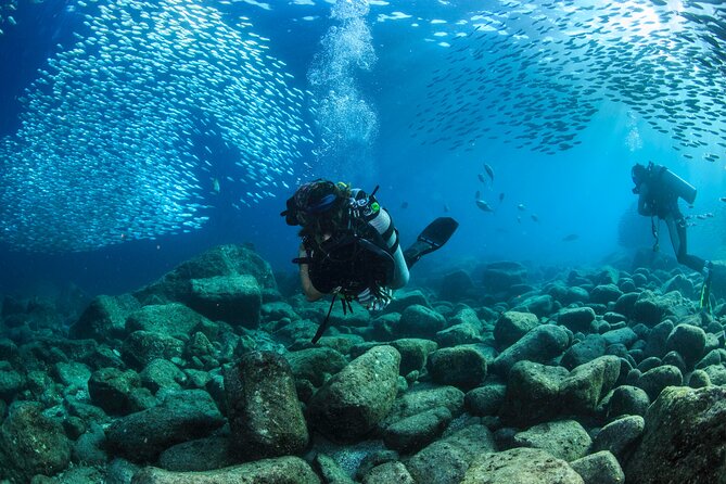 Los Cabos 2 tanks dive to The Corridor (Certified divers) - Pelican Rock, sea lions, and an easier second site