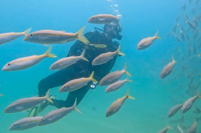 Los Cabos 2 tanks dive to The Corridor (Certified divers) - Guides who make the difference