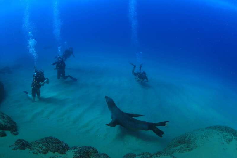 Los Cabos 3-Hour Certified Scuba Diving Tour - Why this Cabo outing is worth your morning